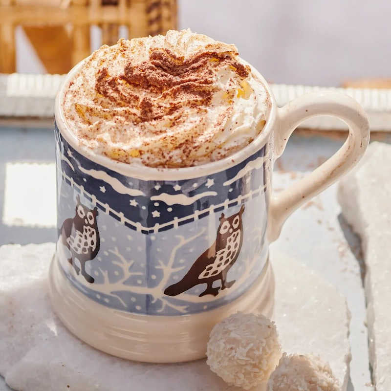 Emma Bridgewater Christmas Icons Owl 1/2 Pint Mug