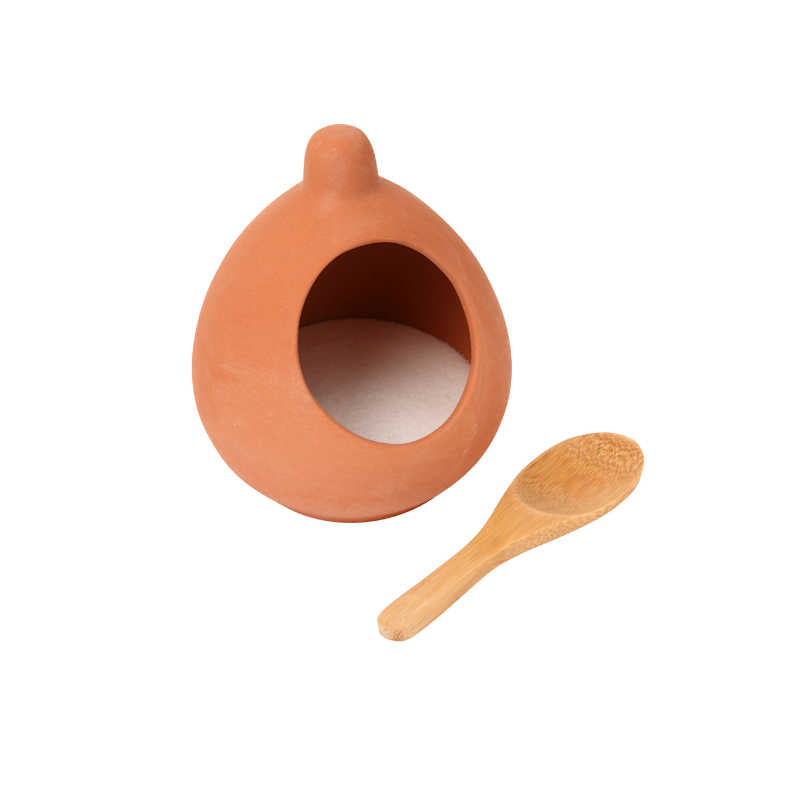 Dexam Terracotta Salt Cellar & Wooden Spoon Set